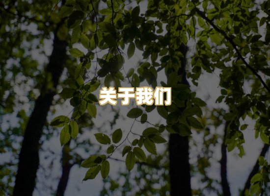 关于我们
